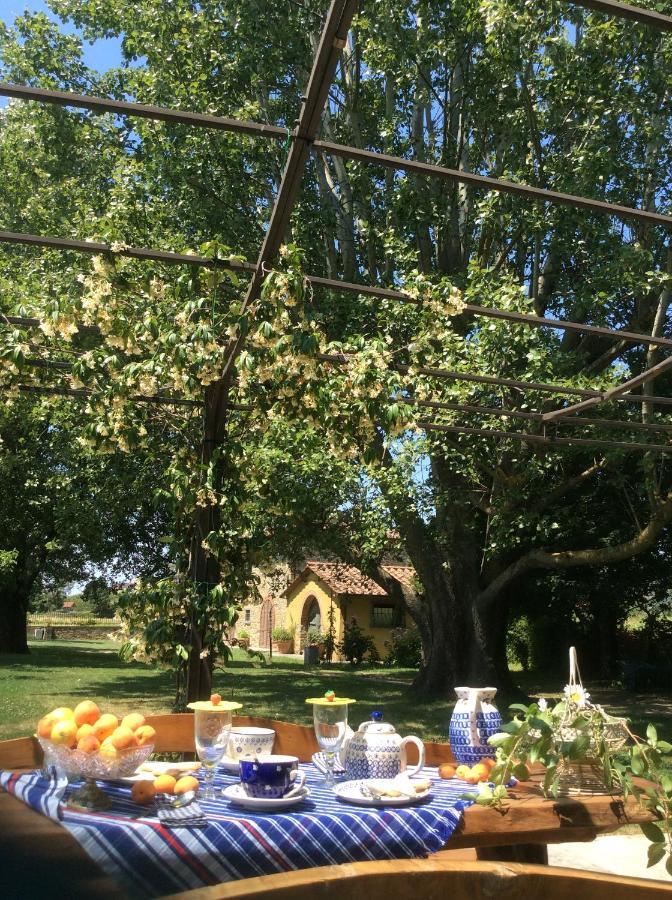 Villa Podere Il Giardino Castiglion Fiorentino Exteriér fotografie
